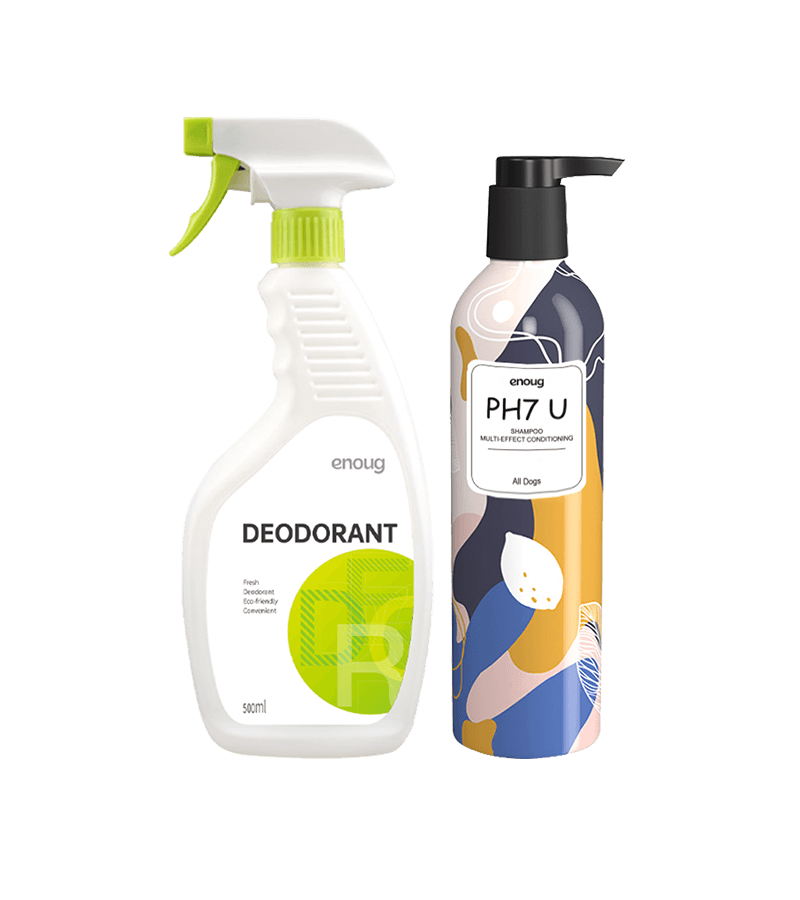 Set Puppy House 1 Ravna dlaka Set puppy house