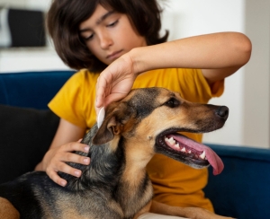 Alergije kod pasa: Koji šampon odabrati za psa sa alergijama? 2 alergije-kod-pasa