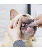 prst-etkica 3 prst etkica 3