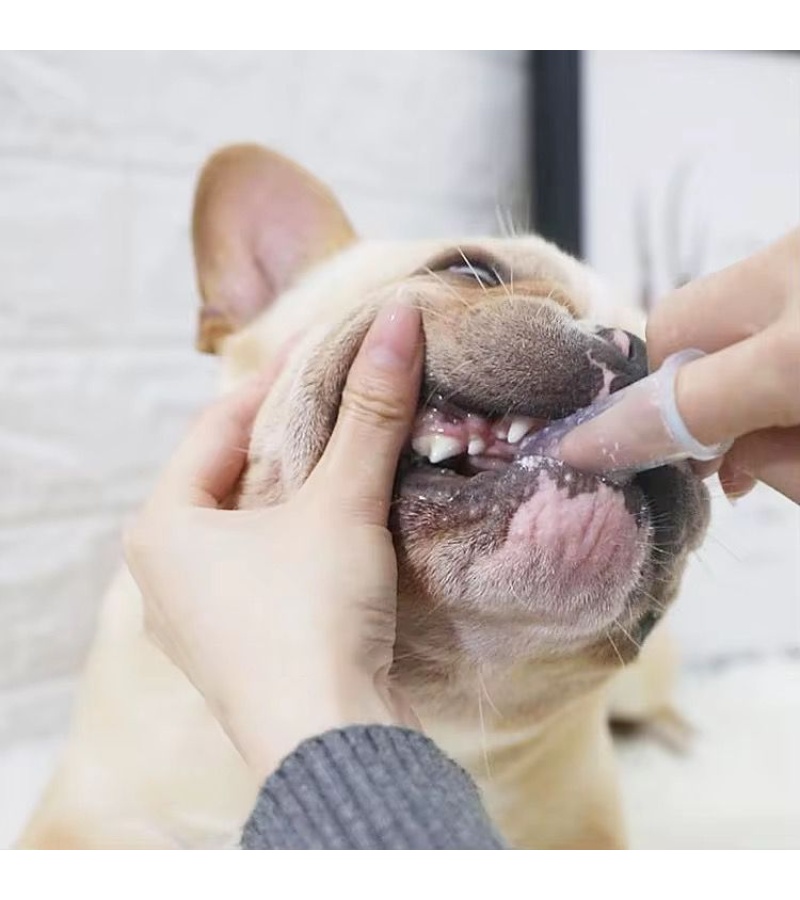 SVEŽ DAH PASTA ZA ZUBE + POKLON ČETKICA 7 prst etkica 3