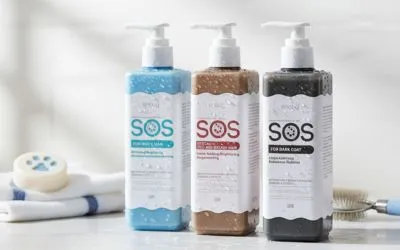 Koliko često treba menjati šampon za pse? 11 koliko-cesto-treba-menjati-sampon-za-pse